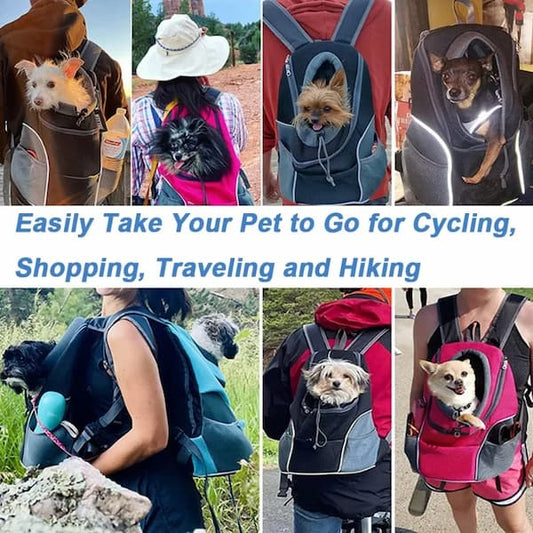 Collage of dogs in backpacks for pet transportation during cycling, shopping, traveling, and hiking.