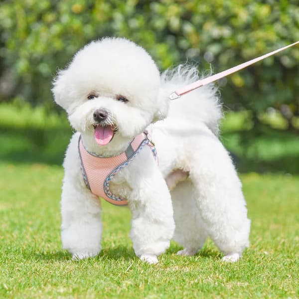 reflective dog harness leash set small medium dog adjustable breathable mesh vest harness