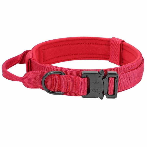 Red dog tactical collar with a black buckle on a white background