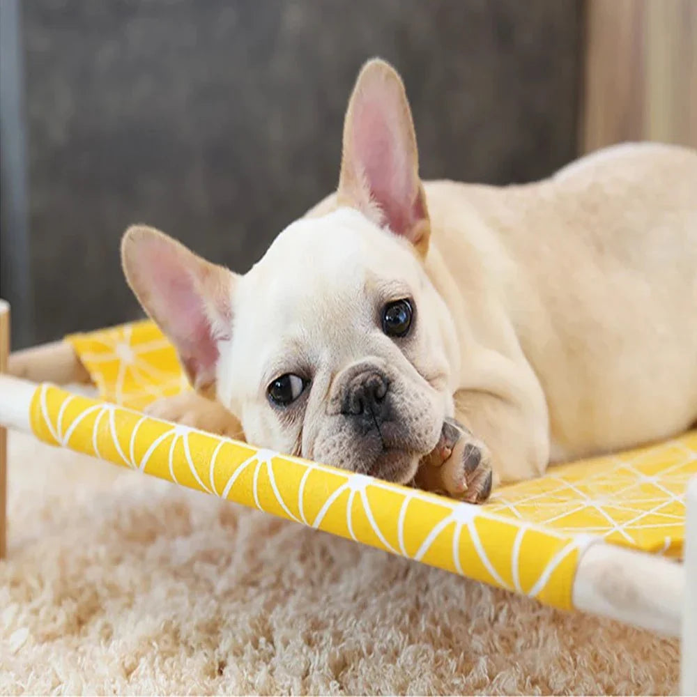 Modern wooden raised cat bed with cushioned fabric and stylish design, ideal for pet relaxation.