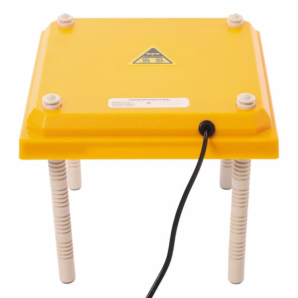 Radiant heat brooder plate for baby chicks – adjustable height, safe 15W heater, cozy and fire-safe alternative to heat lamps.
