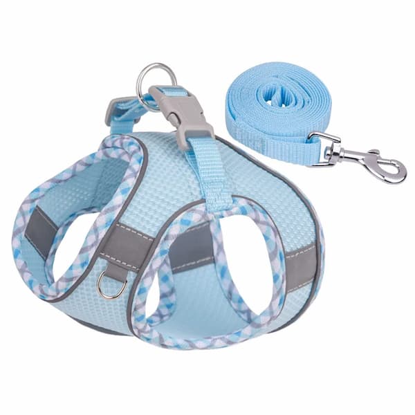 Light blue dog harness and leash set on a white background