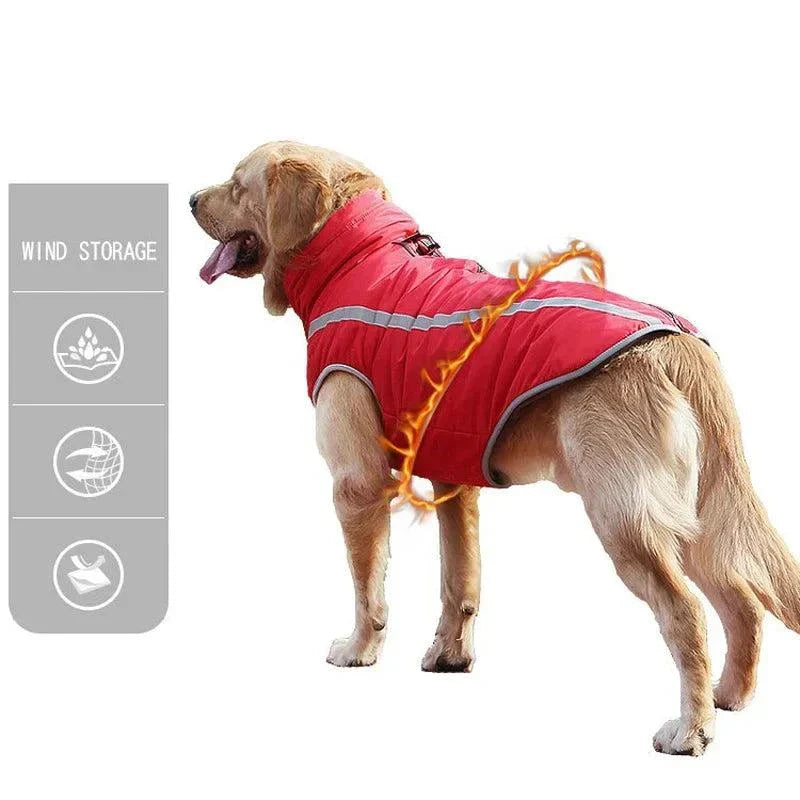 Large dog wearing a red padded waterproof winter jacket with reflective design for safety.