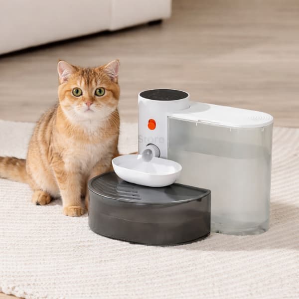 automatic cat water fountain with filter continuous flow drinking system for pets