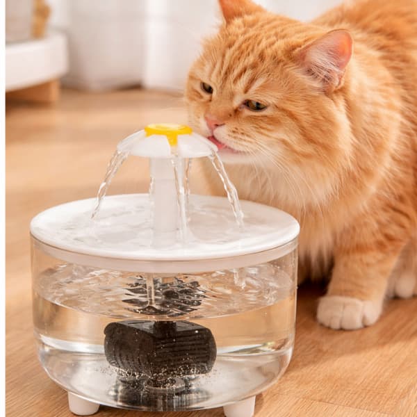 automatic cat water fountain with flowing water and filter system for indoor pets