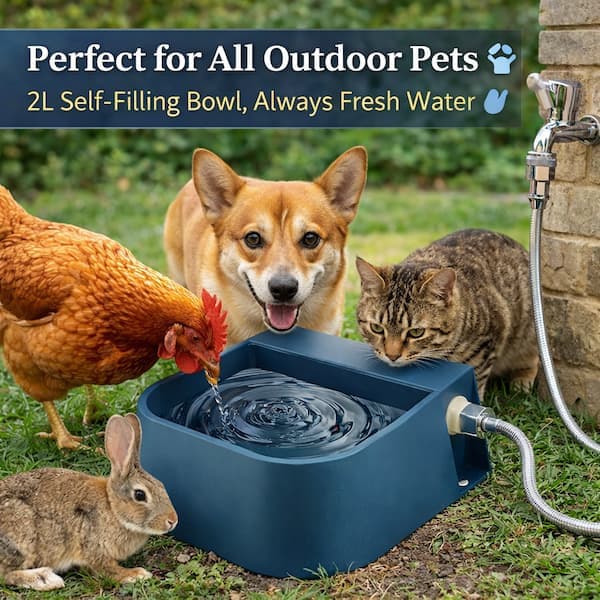 Automatic outdoor water dispenser providing fresh drinking water for a dog, cat, rabbit and chicken during hot summer weather.