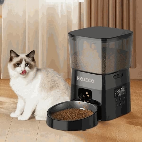 automatic pet feeder dispensing food for cat with smart food dispenser bowl