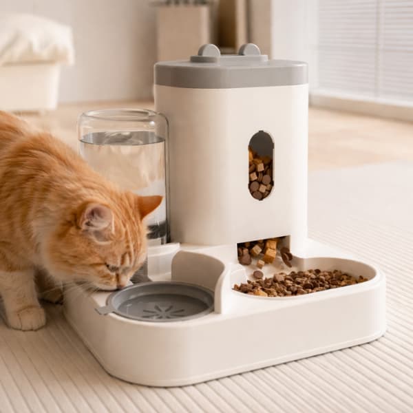 automatic pet feeder and water dispenser 2 in 1 gravity feeding station for cats and dogs