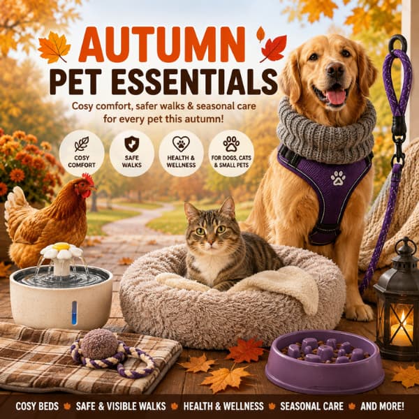 Autumn pet essentials for dogs, cats and chickens including cosy beds, walking and seasonal care products