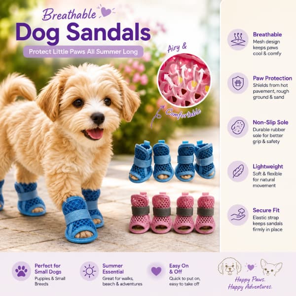 Infographic showing the breathable mesh, paw protection, non-slip sole and lightweight comfort features of breathable summer dog sandals for small dogs.