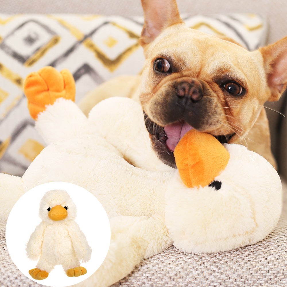 Dog playing with a plush duckling vocal toy on a couch.