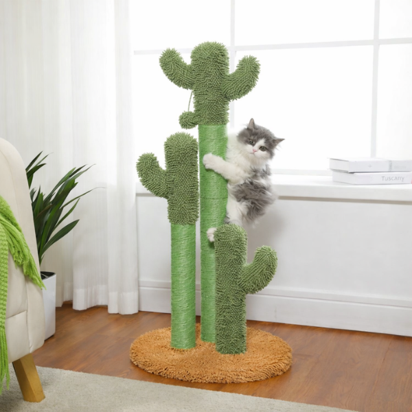 kitten playing on cactus cat scratcher indoor pet furniture