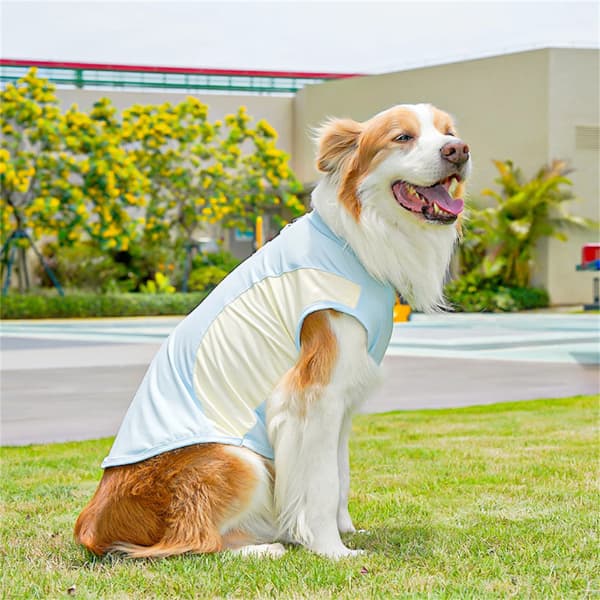 Dog wearing a lightweight ice silk cooling vest designed for comfort during warm summer weather and outdoor walks.