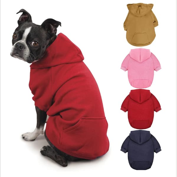 small dog wearing cozy hoodie sweatshirt for warmth and comfort