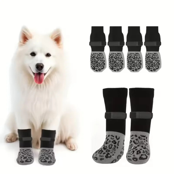 dog wearing anti slip socks for better grip on indoor floors and paw protection
