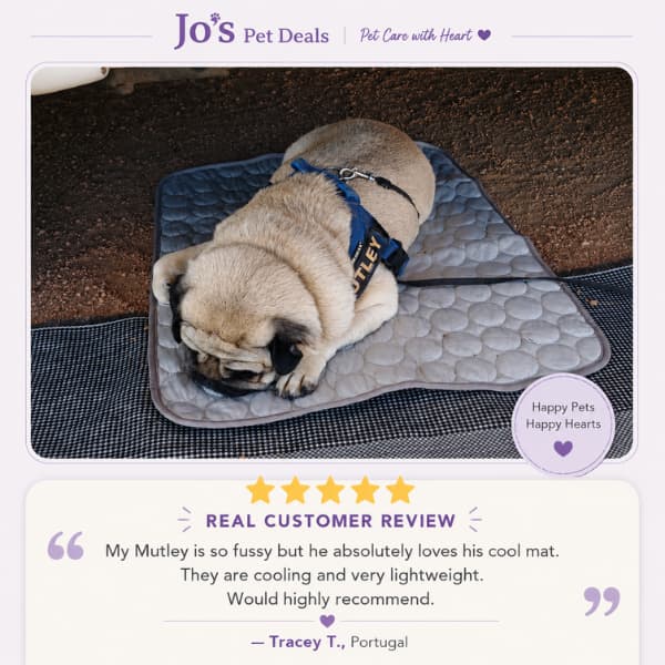 Real customer review showing Mutley relaxing on a Jo's Pet Deals dog cooling mat in Portugal with a five-star testimonial praising its cooling comfort and lightweight design.
