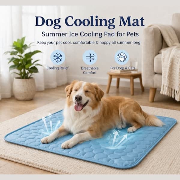  Dog relaxing on a blue cooling mat indoors to stay cool during hot summer weather.