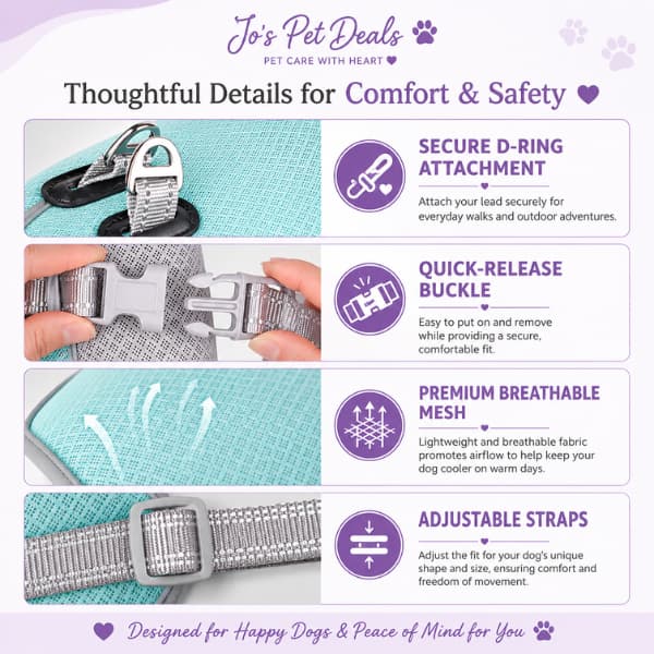 Dog cooling vest features guide showing secure D-ring, quick-release buckle, breathable mesh and adjustable straps