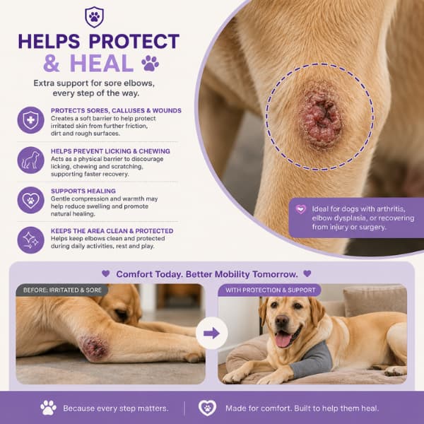 Dog elbow protector helping protect sore elbows, calluses and pressure sores on a Labrador, providing comfort, support and protection during recovery and everyday use.