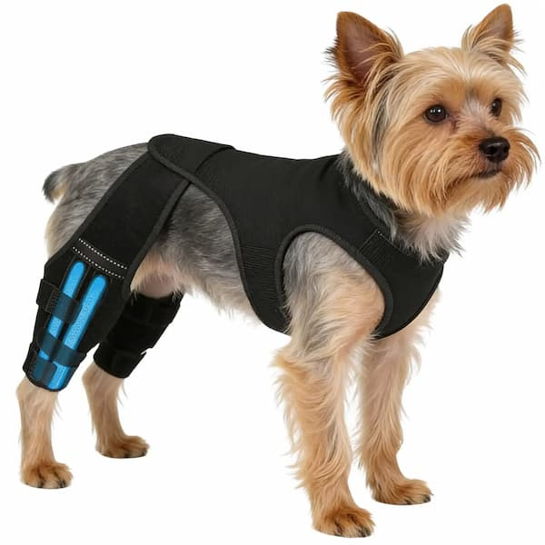 Dog Leg Brace Support – Rear Leg Stabiliser for Joint Support & Mobility
