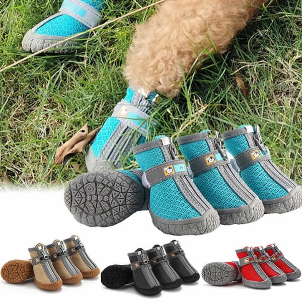 Dog wearing non-slip protective dog shoes designed for outdoor paw protection and comfort