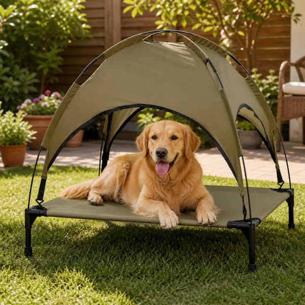 dog relaxing on elevated cooling bed with sun shade in garden staying cool during summer heat