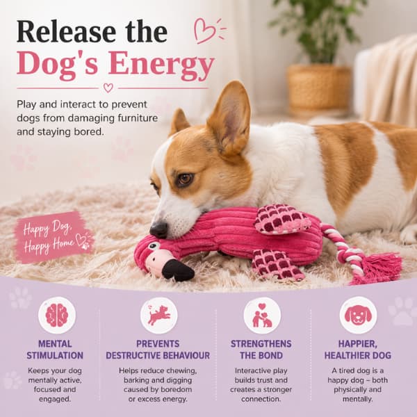 Corgi playing with a pink flamingo squeaky rope dog toy, showing how interactive play provides mental stimulation, reduces boredom, encourages exercise and helps prevent destructive chewing behaviour.