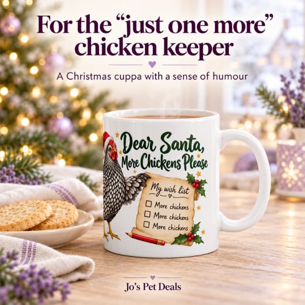 Dear Santa, More Chickens Please” mug beside biscuits beneath the heading “For the ‘just one more’ chicken keeper”.