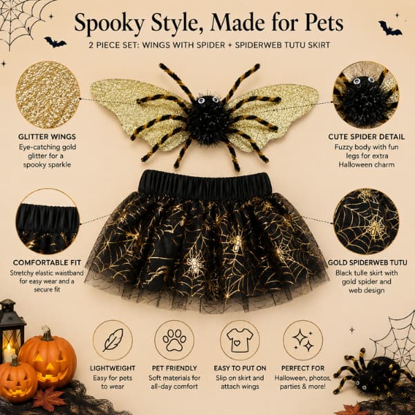 Halloween spider dog costume showing gold wings and black spiderweb tutu skirt