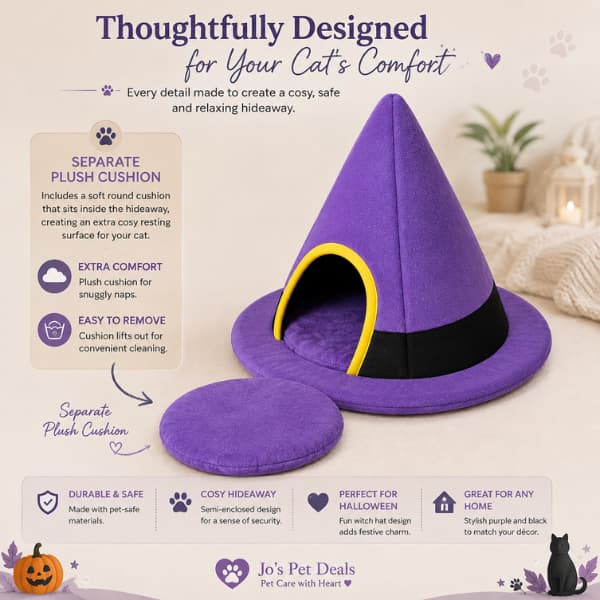 Purple Halloween witch hat cat bed with separate plush cushion for cosy naps