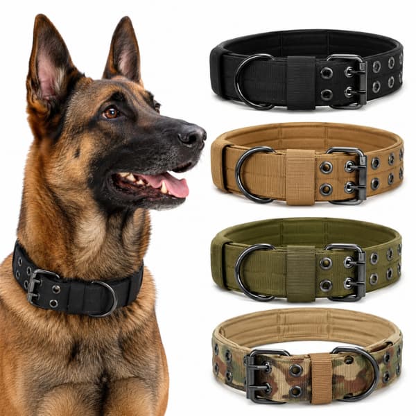German Shepherd wearing a heavy duty tactical dog collar with black khaki green and camouflage collar colour options displayed