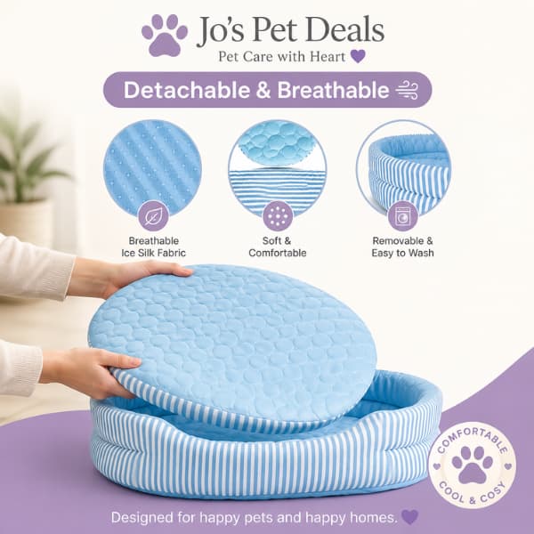 Infographic showing the Ice Silk Cooling Dog Bed with a removable washable cushion, breathable ice silk fabric and supportive raised sides for comfortable summer pet cooling.