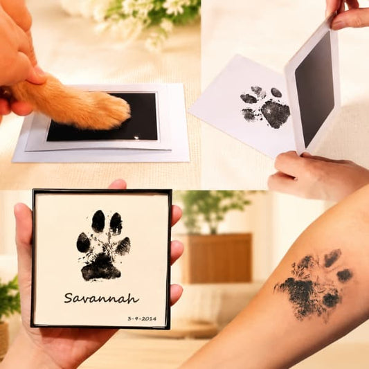 Inkless paw print keepsake kit creating a clean and mess-free paw print memory for dogs and cats