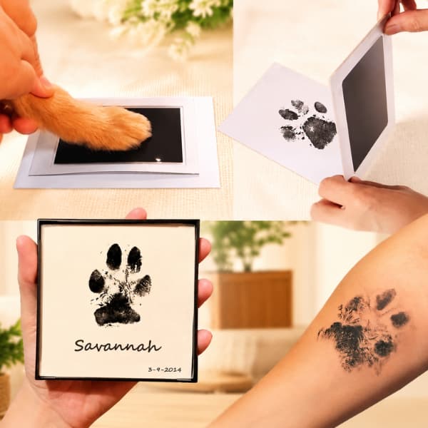 Inkless paw print keepsake kit creating a clean and mess-free paw print memory for dogs and cats