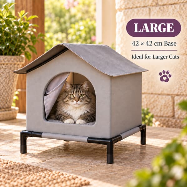 Large fluffy cat inside the large raised outdoor cat shelter with a 42 by 42 cm base
