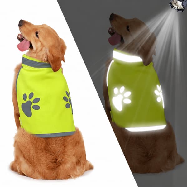 Dog wearing a reflective yellow vest with paw prints, on a white background.