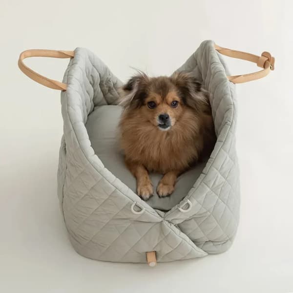 small dog sitting in padded pet travel tote carrier used as car seat
