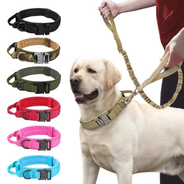 Military tactical dog collar and bungee leash set for medium and large dogs