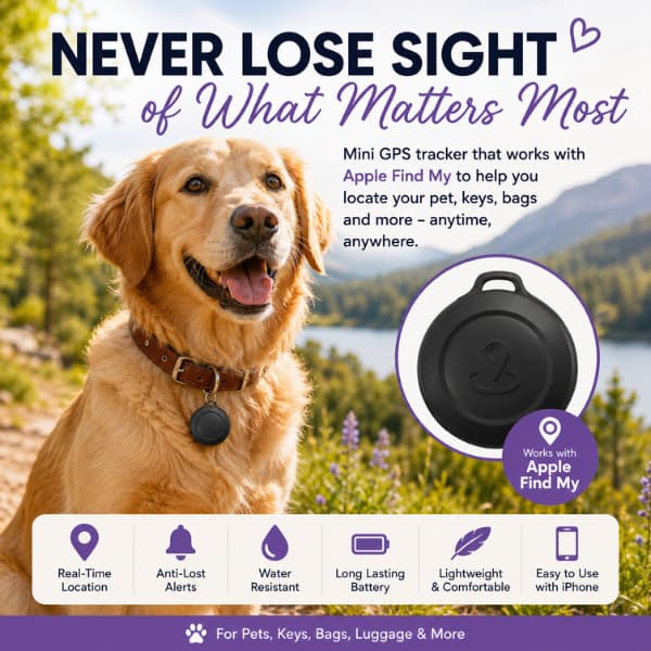 Golden Retriever wearing a Mini GPS Pet Tracker on its collar during an outdoor walk, compatible with Apple Find My for real-time pet location, anti-lost protection and everyday adventures.