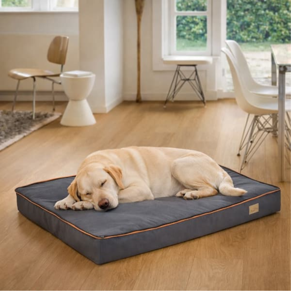 large orthopedic dog bed with memory foam support helping dog rest comfortably indoors