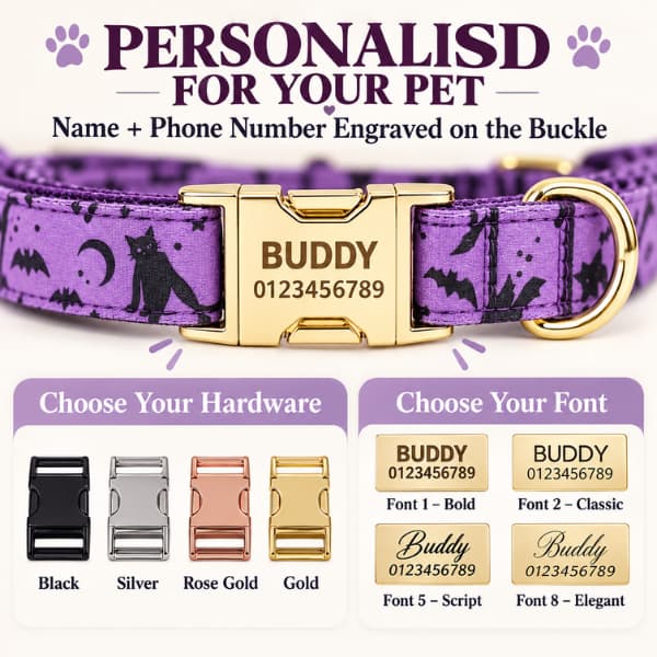 Personalised purple Halloween dog collar showing buckle engraving, four hardware colours and four font choices