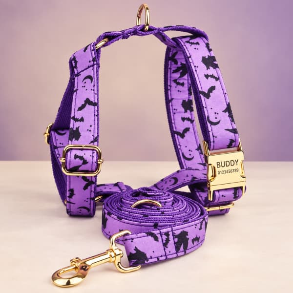 Personalised purple Halloween dog harness and matching lead with gold hardware and engraved buckle