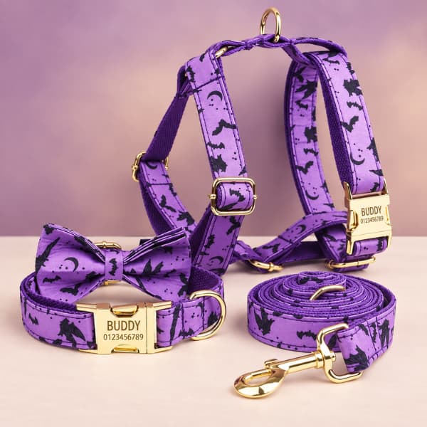 Four-piece personalised purple Halloween dog walking set with collar, bow tie, harness, matching lead and engraved gold buckles