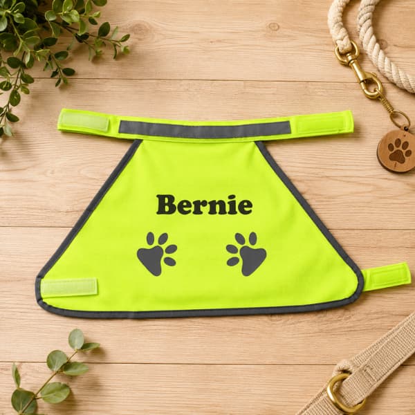 Personalised high visibility reflective dog safety vest with the name Bernie displayed on a warm wooden background with pet accessories
