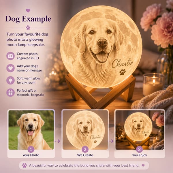 Personalized dog photo moon lamp example showing a custom golden retriever portrait and name illuminated on a glowing moon lamp