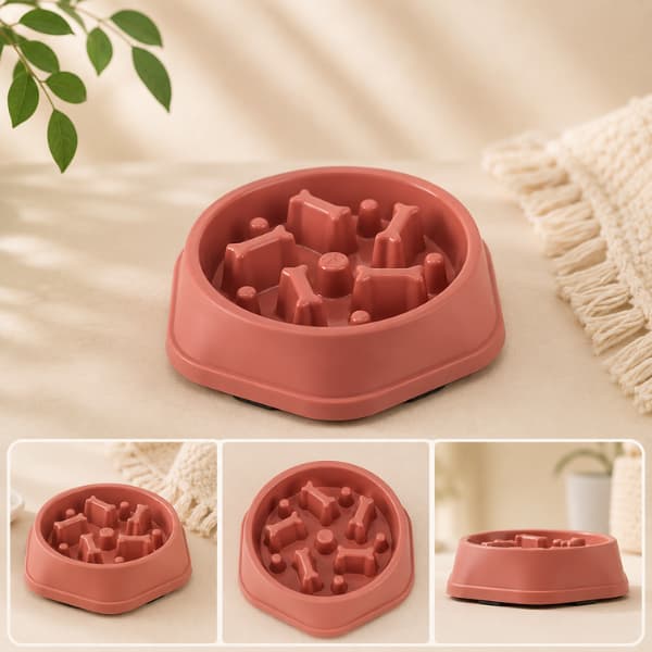 Anti-Choking Slow Feeding Bowl for Dogs & Cats | Healthy Slow Feeder Pet Bowl