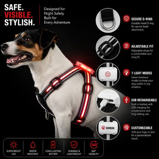 Dog wearing premium rechargeable LED harness with reflective safety lights for nighttime walking visibility
