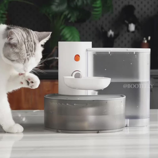 Automatic Cat Water Fountain - Jo's Pet Deals