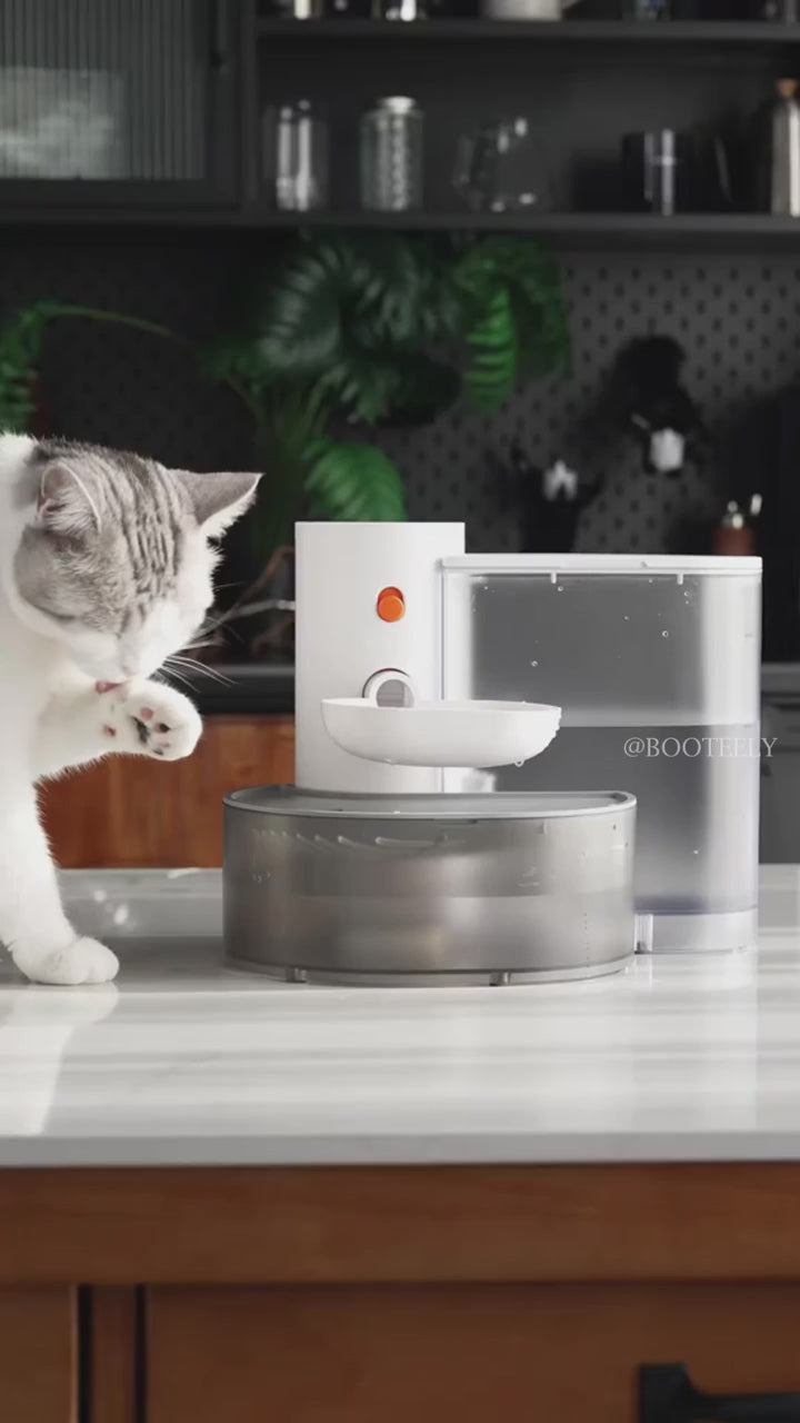 Automatic Cat Water Fountain - Jo's Pet Deals