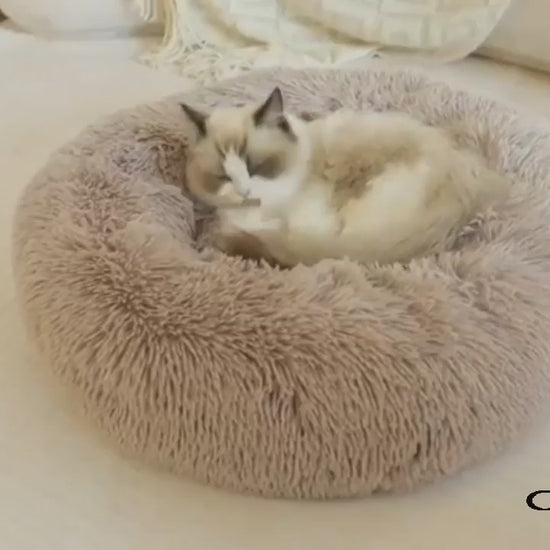 Luxurious plush pet nest for cats and small dogs in various sizes.